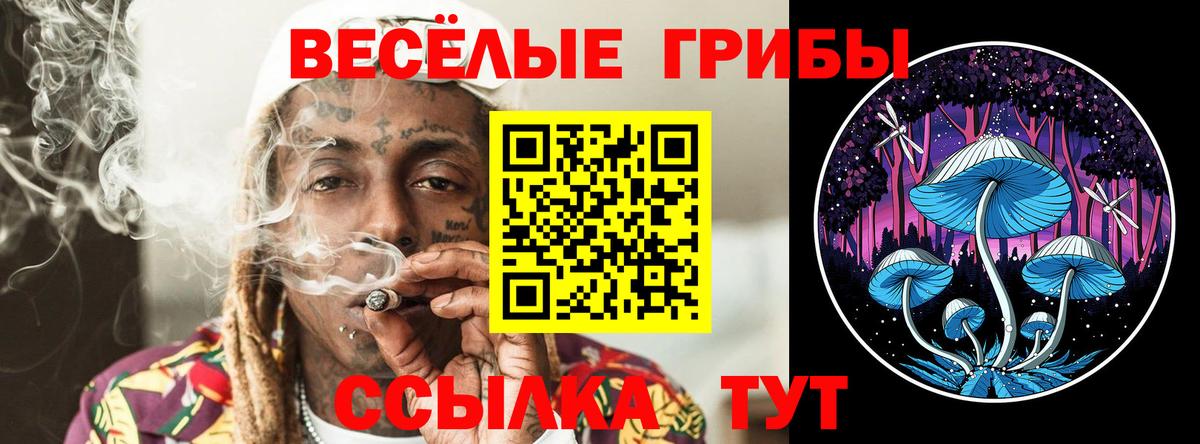 Галлюциногенные грибы Magic Shrooms Медногорск